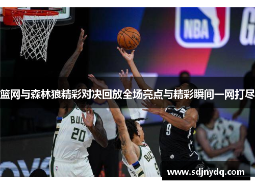 篮网与森林狼精彩对决回放全场亮点与精彩瞬间一网打尽
